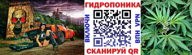 Виды наркотиков купить Суджа APVP Меф ГАШИШ Марихуана