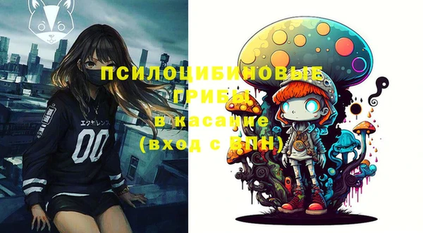 ПСИЛОЦИБИНОВЫЕ ГРИБЫ Пестово
