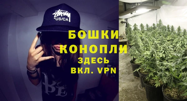 ПСИЛОЦИБИНОВЫЕ ГРИБЫ Пестово