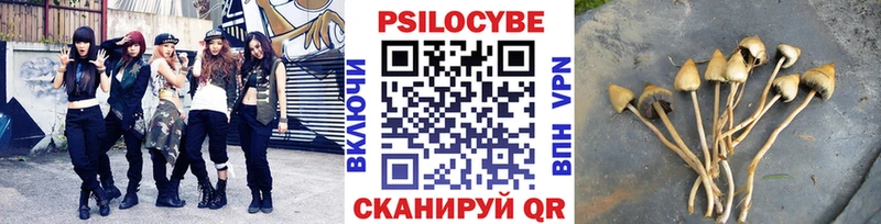 наркота Суджа Псилоцибиновые грибы ЛСД